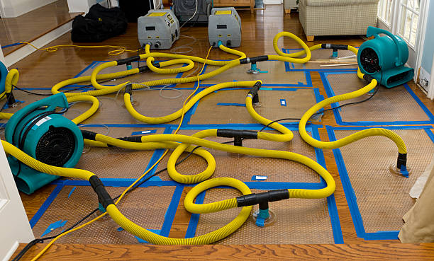 Professional Flood Damage Restoration technician working in Phillipsburg, OH